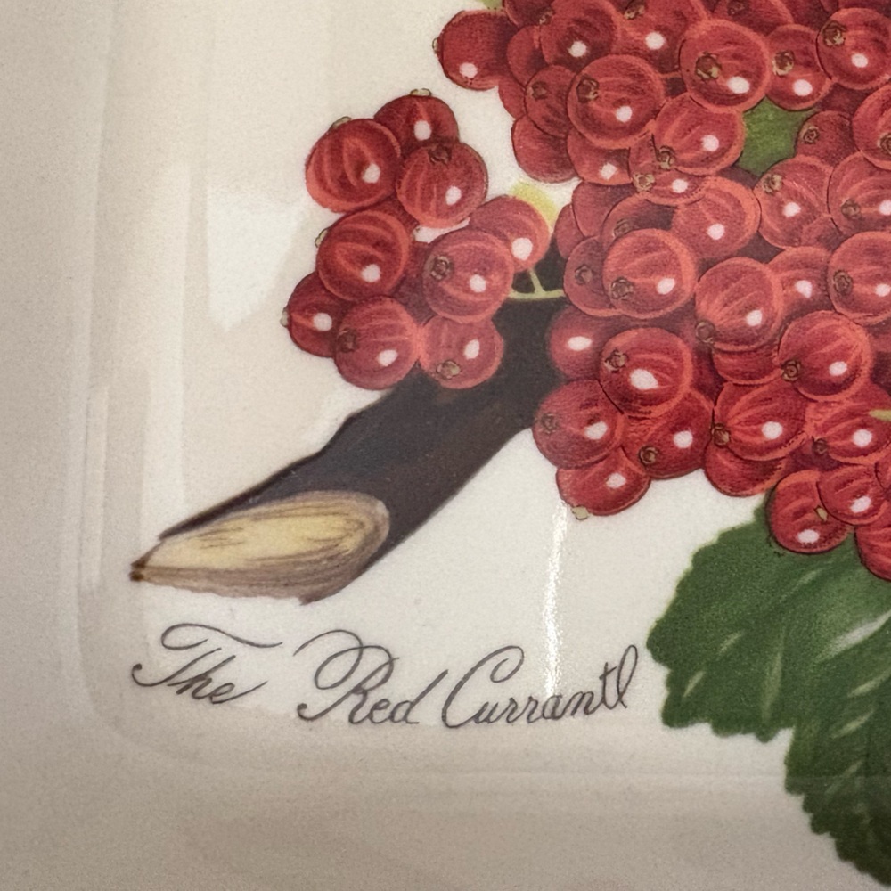 Pomona The Red Currant Ceramic Oven Safe Serving Dish casserole